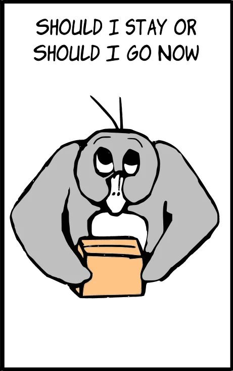 penguin shy and afraid of packing