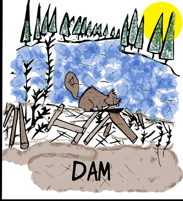 A beaver pond with a large dam blocking the water. The only text reads "Dam."